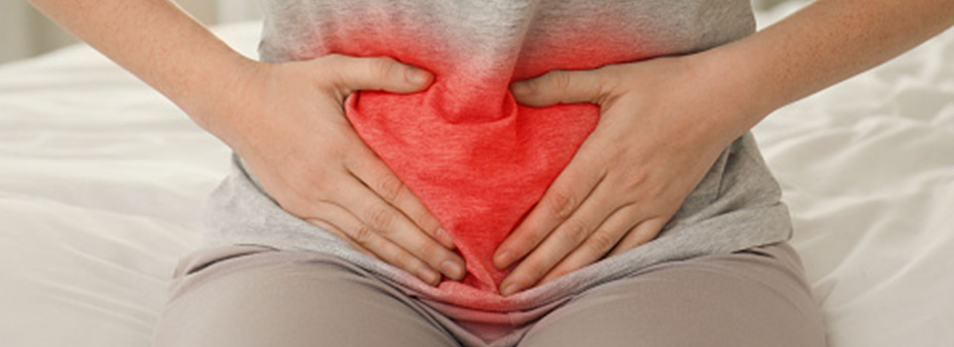 Female reproductive cycles